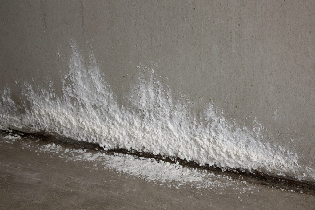 White crust and a damp line on a basement wall — Concrete Basements in Dyer