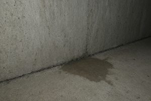 Hairline crack and damp stain at a basement floor joint - Concrete Basements in South Haven